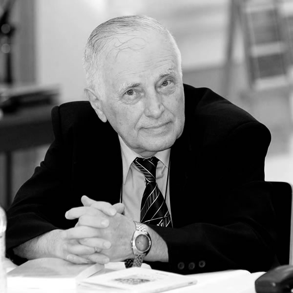 Prof. dr. doc. Mircea Borcilă 